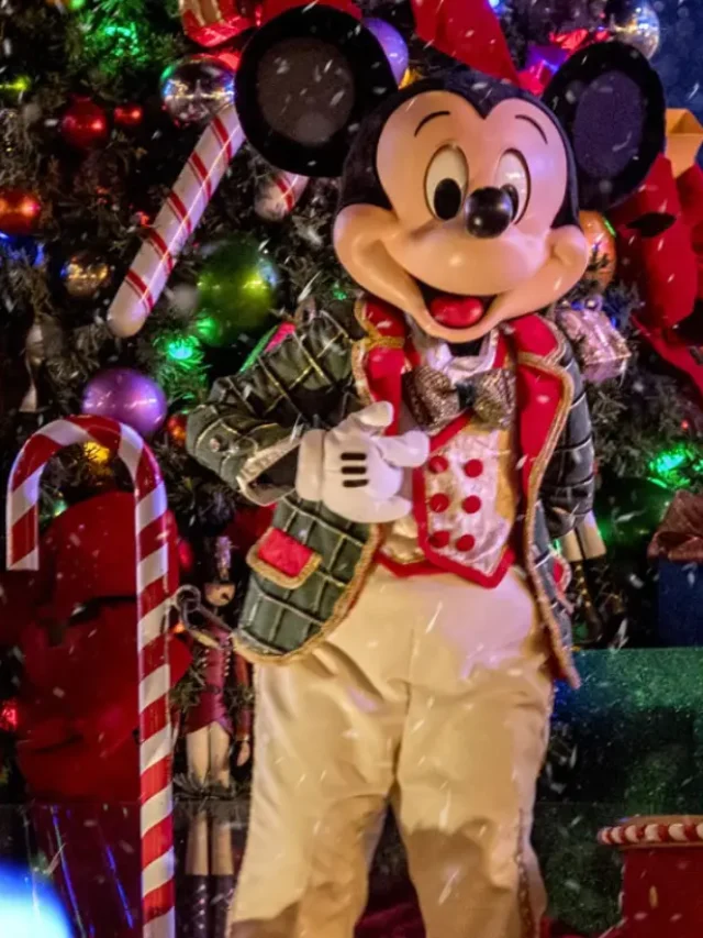 Dicas para passar o Natal na Disney em Orlando