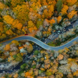 Slow travel: conheça lugares para visitar nos EUA que seguem essa tendência