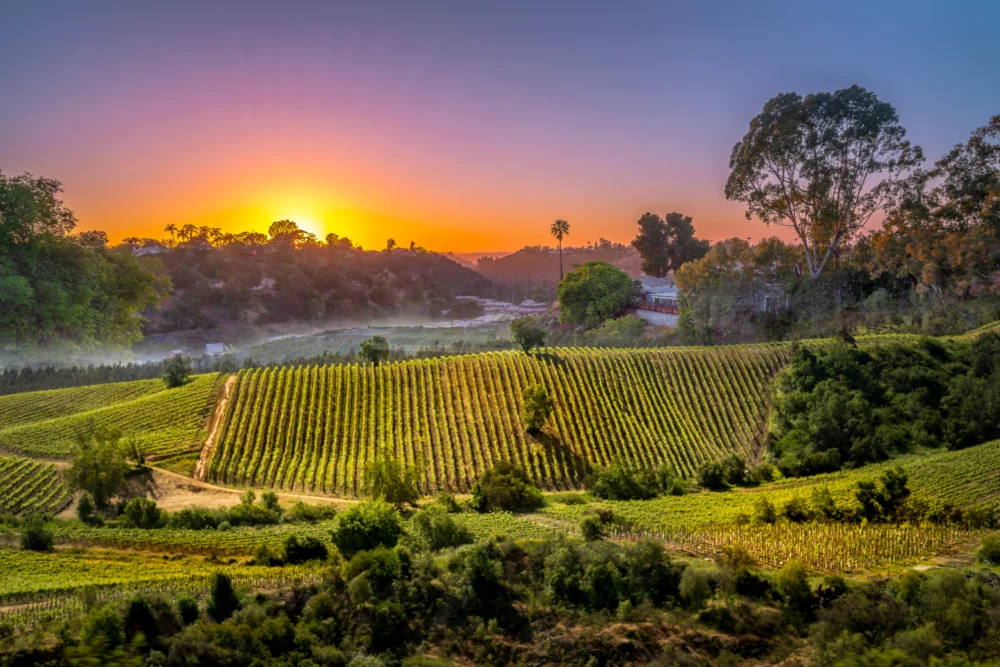 Napa Valley